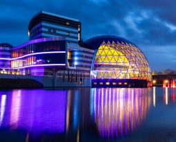 Ninewin Casino UK: Your Ultimate Online Gaming Experience